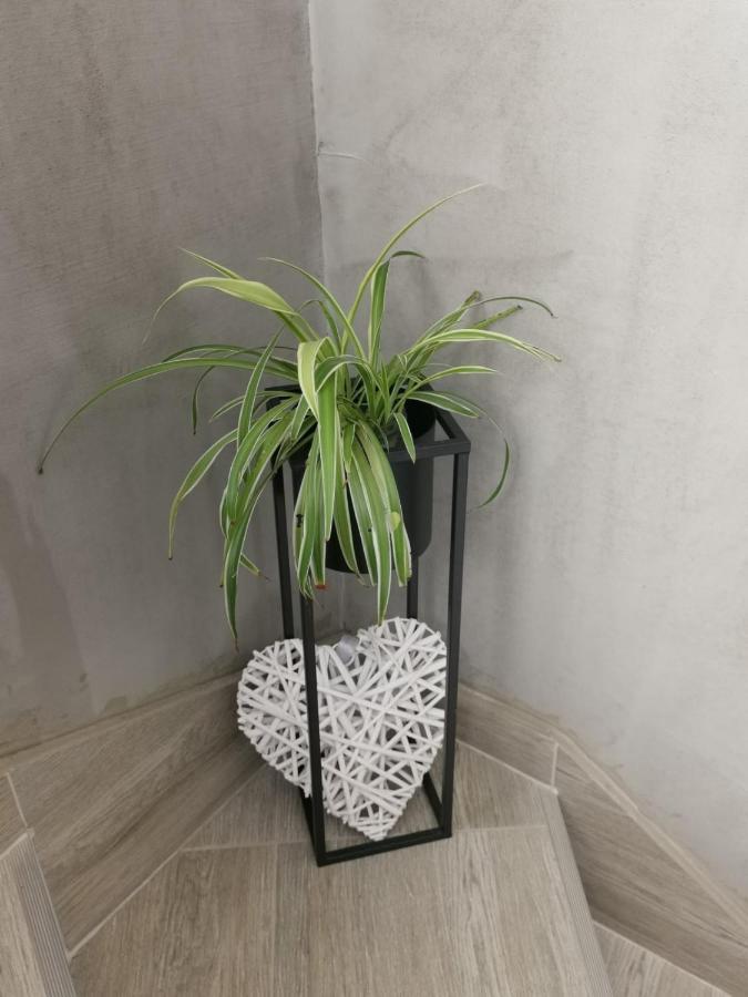Nozret Apartman Paljuv Kültér fotó